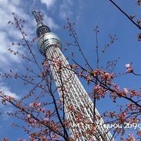 スカイレストラン634 - 