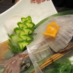 鮨隆 - 呼子のイカ