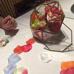 コシモ・プリュス - 