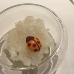 コシモ・プリュス - 