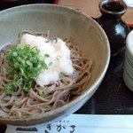 出雲そば きがる - 辛味おろし：７００円