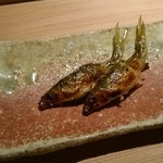 祇園 にしかわ - 琵琶湖のもろこ