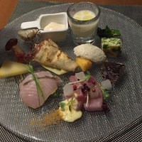 オッジ ダルマット 西麻布店 - 