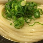 うどん 丸香 - 冷やかけ（小）（麺アップ）