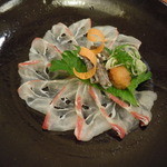 とんがらし - 鳴門天然桜鯛うす造り