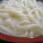 本格さぬきうどん　穂乃香 - 釜揚げうどん 二玉　2016/3