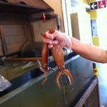 はこだて海鮮市場  - 