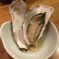 魚斉 - 