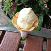 熱川バナナワニ園　アイスクリームスタンド