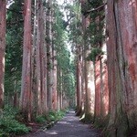 戸隠そば博物館 とんくるりん - 戸隠奥社杉並木