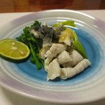 匠 - 身皮と遠江