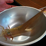 大衆居酒屋魚さんこ - 