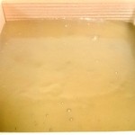 笹屋昌園 - 笹屋昌園 本わらび餅 極み(小)見た目からしてとても綺麗ですね。 fromグリーンロール