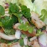 レッド オーキッド - ラープムー的な物
      