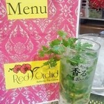 レッド オーキッド - 新登場！パクチーサワー