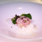 アマルフィ - 桜鯛のタルタルしょうがのシャーベットを添えて