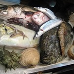 海三昧 おさしみ家 - ある日の厳選魚