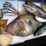 海三昧 おさしみ家 - ある日の厳選魚