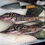 海三昧 おさしみ家 - ハッカク