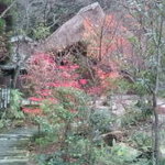 食事処 わらび - 