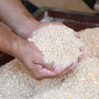 伝統の飼育技術