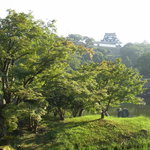 ラーメンにっこうact2 - 玄宮園その②