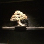 中目黒いぐち 麻布十番店 - 