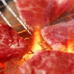 味覚園 - 料理写真:国産牛の旨みを炭火で引き出します！