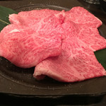 SATOブリアン - しんしん