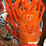 天一 - 超巨大伊勢海老