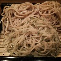 赤坂 蕎介 - 