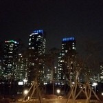 경복궁 - 新都市の夜景