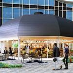 スターバックスコーヒー みんなの森ぎふメディアコスモス店 - 