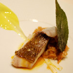 レストラン フウ - 活〆の桜鯛　桜海老とふきのとうのリゾット、マンダリン、 ベルガモットソース 