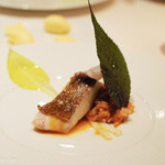 レストラン フウ - 活〆の桜鯛　桜海老とふきのとうのリゾット、マンダリン、 ベルガモットソース 