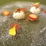 イルネッソ - パンナコッタ