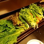 본가 - 葉っぱたち