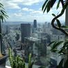 The 33 Tea＆Bar Terrace - その他写真: