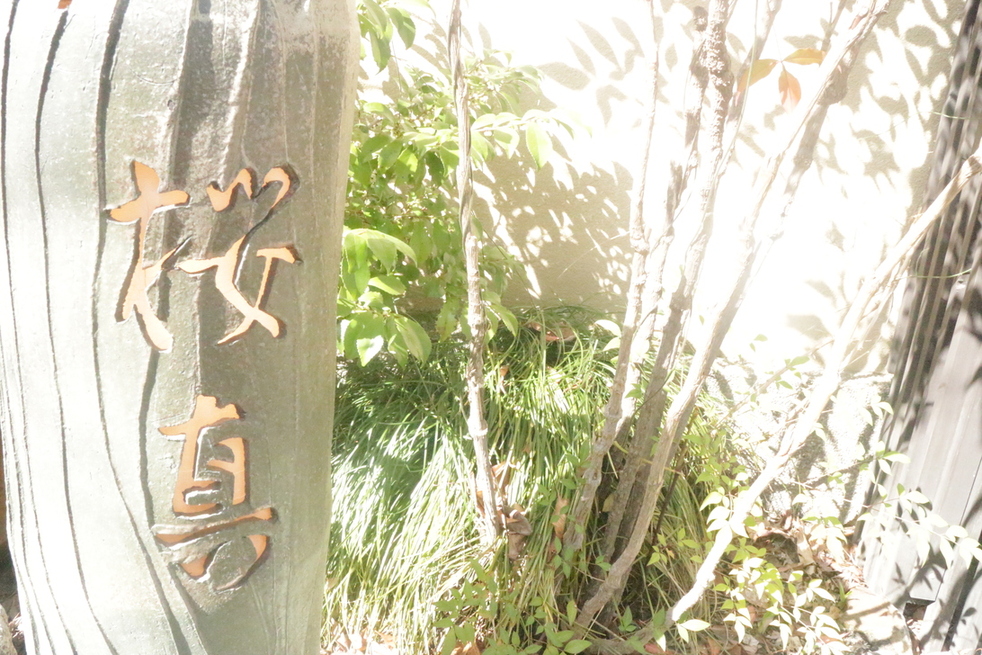肉家 桜真