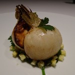 レフェルヴェソンス - 8