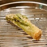 てんぷらと和食 山の上 - タラの芽