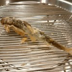 てんぷらと和食 山の上 - 稚鮎