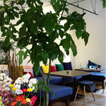 CAFE4115 - ソファー席