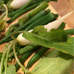 花 - こだわり野菜を味噌で食べました♪