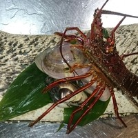 寿司 はせ川 西麻布店 - 