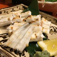 魚竹 - 