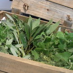 ユニッソン デ クール - 