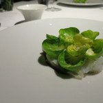 レフェルヴェソンス - 