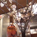Shokuraku Tatata - 店内で花見できます～～！！