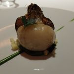 レフェルヴェソンス - 2016年早春のカブ